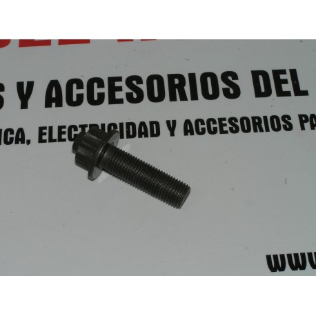 TORNILLO CIGUEÑAL SEAT AUDI VW TDI REF ORG IZ-AFN-AAZ-14