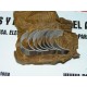 COJINETES BIELA RENAULT 12 REF SIC
