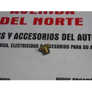 PIÑON SIN CLASIFICAR OBSOLETO